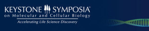 DNA Replication and Recombination / Genomic Instability and DNA Repair