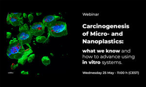 Webinar Plasticheal