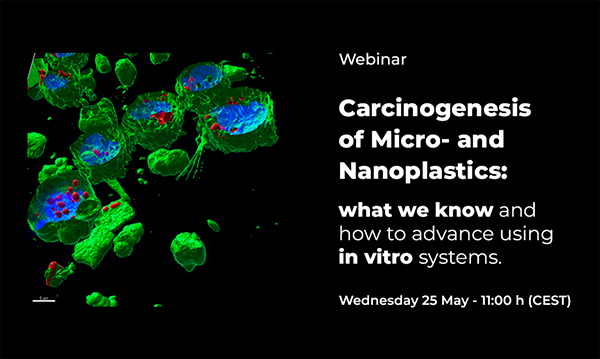 Webinar: what do we know about MNPLs carcinogenesis?