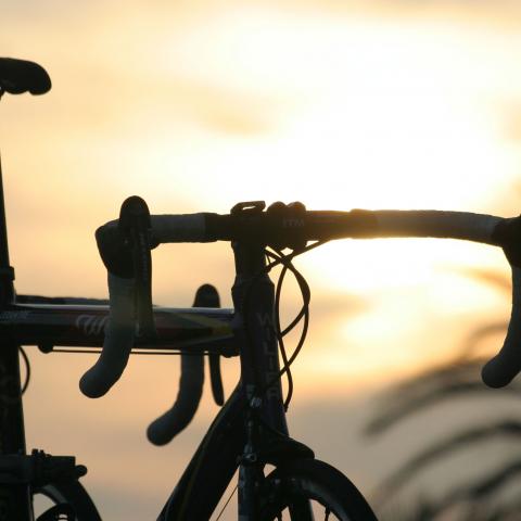 Get around Málaga by bike