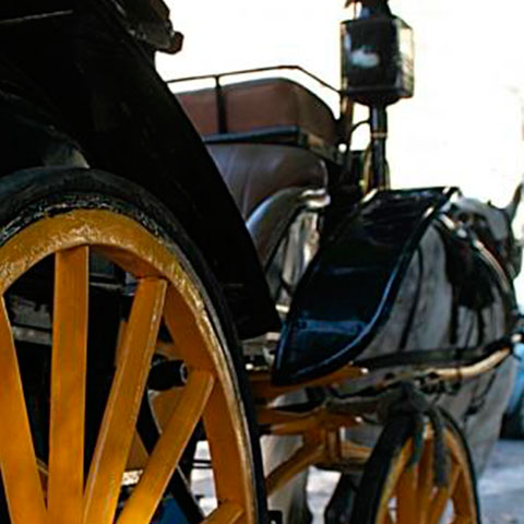 Get around Málaga in a horse-drawn carriage