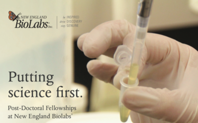 Post-Doctoral Fellowships at New England Biolabs